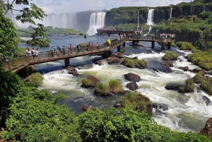 De Foz do Iguaçu: Passeio pelas Cataratas Brasileiras e Parque das Aves