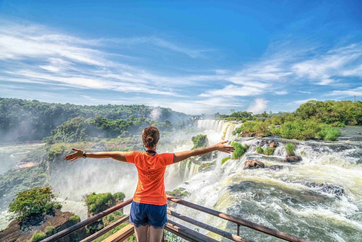 Z Foz do Iguaçu: Brazylijska strona wodospadu z biletem
