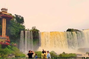 Depuis Foz do Iguaçu : Côté brésilien des chutes avec billet