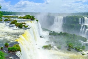 Depuis Foz do Iguaçu : Côté brésilien des chutes avec billet