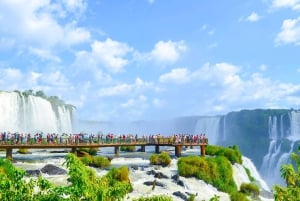 From Foz do Iguaçu: Brazilian Side of the Falls with Ticket