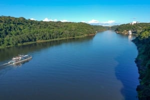 Depuis Foz do Iguaçu : Expédition croisière Iguazu