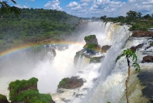 Depuis Foz do Iguaçu : Tour en bateau des chutes d'Iguazú Argentine