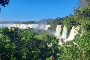 Depuis Foz do Iguaçu : Tour en bateau des chutes d'Iguazú Argentine