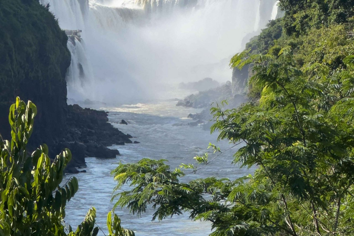 från Foz do Iguaçu: Privat tur till de argentinska vattenfallen