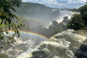 fra Foz do Iguaçu: Privat tur til de argentinske fossefallene