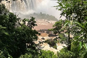 ab Foz do Iguaçu: Private Tour zu den Argentinischen Wasserfällen