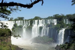 From Foz do Iguaçu: Tour to Argentinian Falls