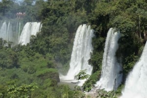 Z Foz do Iguaçu: Wycieczka do wodospadów argentyńskich