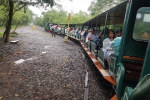 Från Foz do Iguaçu: Tur till de argentinska fallen