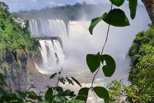 Från Foz do Iguaçu: Tur till de argentinska fallen