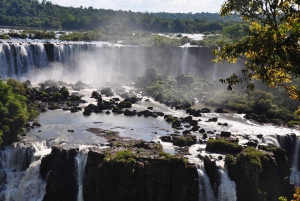 From Foz do Iguaçu: Visit to Brazilian Falls and Bird Park