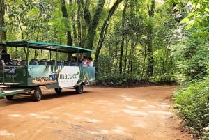 From Foz do Iguazu: Brazil Iguazu Falls & Macuco Safari Boat