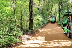 From Foz do Iguazu: Brazil Iguazu Falls & Macuco Safari Boat