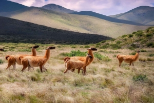 From Jujuy: Humahuaca + Salinas Grandes in two full days