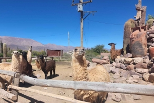 From Jujuy: Humahuaca + Salinas Grandes in two full days
