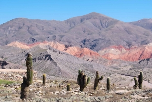From Jujuy: Humahuaca + Salinas Grandes in two full days
