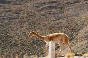 From Jujuy: Humahuaca + Salinas Grandes in two full days