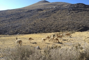 Från Jujuy: Serranías de Hornocal med Quebrada de Humahuaca