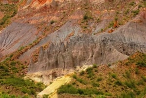 From Mendoza: A Trip Across the Mountain to Atuel Canyon