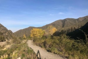 Desde Mendoza: Excursão de 1 dia à Alta Montanha dos Andes