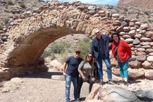 Desde Mendoza: Excursão de 1 dia à Alta Montanha dos Andes