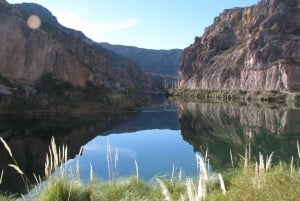 Från Mendoza: Dagsutflykt till Atuel Canyon