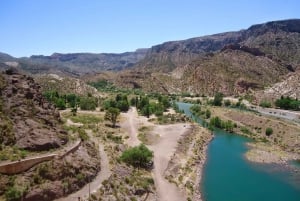 Från Mendoza: Dagsutflykt till Atuel Canyon
