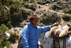 From Mendoza: Full Day Gaucho Experience