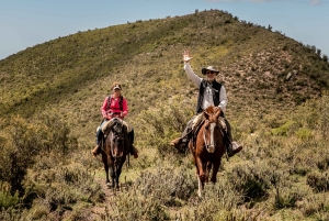 Z Mendozy: Całodniowe doświadczenie Gaucho