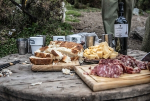 Z Mendozy: Całodniowe doświadczenie Gaucho