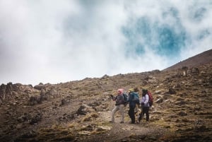 Desde Mendoza: Aventura de senderismo de un día en los Andes