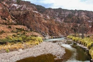 Från Mendoza: San Rafael Sightseeing och Atuel Canyon Tour