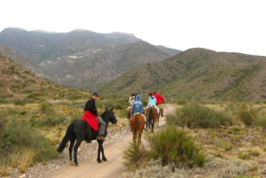From Mendoza: Sunset Horseback Ride and Asado in the Andes