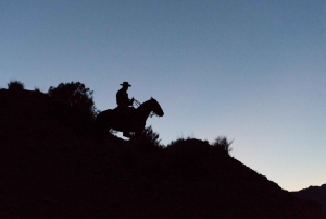 From Mendoza: Sunset Horseback Ride and Asado in the Andes