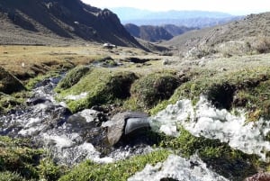 From Mendoza: Trekking and Barbecue in the Andes