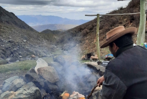 Von Mendoza aus: Trekking und Grillen in den Anden