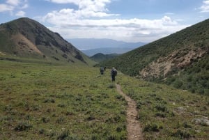 Från Mendoza: Trekking och grillning i Anderna: från Mendoza