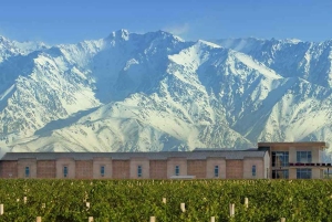 A partir de Mendoza: Excursão às adegas do Vale do Uco com almoço e degustação