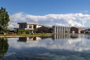 A partir de Mendoza: Excursão às adegas do Vale do Uco com almoço e degustação