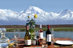 A partir de Mendoza: Excursão às adegas do Vale do Uco com almoço e degustação