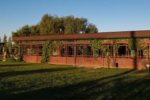 A partir de Mendoza: Excursão às adegas do Vale do Uco com almoço e degustação