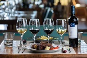 A partir de Mendoza: Excursão às adegas do Vale do Uco com almoço e degustação