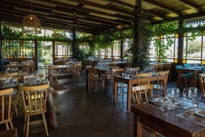 A partir de Mendoza: Excursão às adegas do Vale do Uco com almoço e degustação