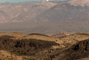 Au départ de Mendoza : Villavicencio, Uspallata Tour privé avec BBQ