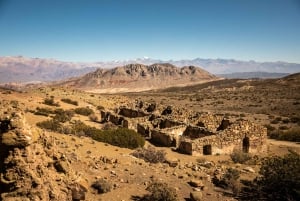 Z Mendozy: Villavicencio, prywatna wycieczka Uspallata z grillem