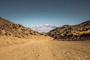 Z Mendozy: Villavicencio, prywatna wycieczka Uspallata z grillem