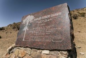 Z Mendozy: Villavicencio, prywatna wycieczka Uspallata z grillem