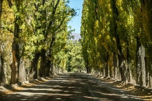 Z Mendozy: Villavicencio, prywatna wycieczka Uspallata z grillem