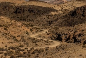 Z Mendozy: Villavicencio, prywatna wycieczka Uspallata z grillem